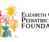 Vaga para Assistente de Pesquisa – Entrevistadores Fundação Ariel Glaser Oficial Sénior de Logística EGPAF Elizabeth Glaser Pediatric Aids Foundation