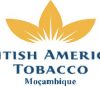 A British American Tobacco Moçambique, Limitada, é uma empresa líder no mercado que integra o grupo multinacional British Amercan Tabacco cujas operações