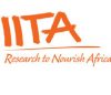 O Instituto Internacional de Agricultura Tropical (IITA) pretende recrutar para o seu quadro de pessoal, um Motorista, para Nampula. Responsabilidades