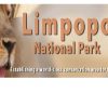 O Parque Nacional do Limpopo, pretende recrutar para o seu quadro de pessoal, um (1) Assistente de Contabilidade. Responsabilidades